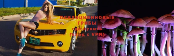первитин Алексин