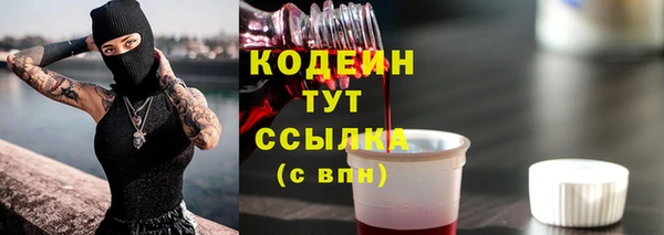 ГАЛЛЮЦИНОГЕННЫЕ ГРИБЫ Рославль