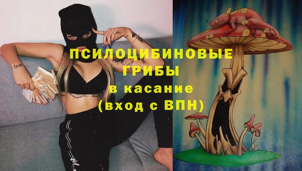 ГАЛЛЮЦИНОГЕННЫЕ ГРИБЫ Рославль