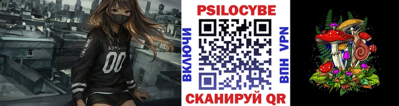 что такое   Кондопога  Псилоцибиновые грибы GOLDEN TEACHER 